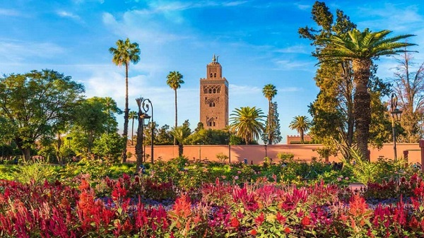Excursiones desde Marrakech 1 día